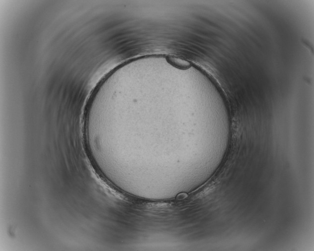 X0000103161135200809121832