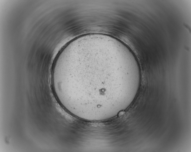 X0000103161136200809121832