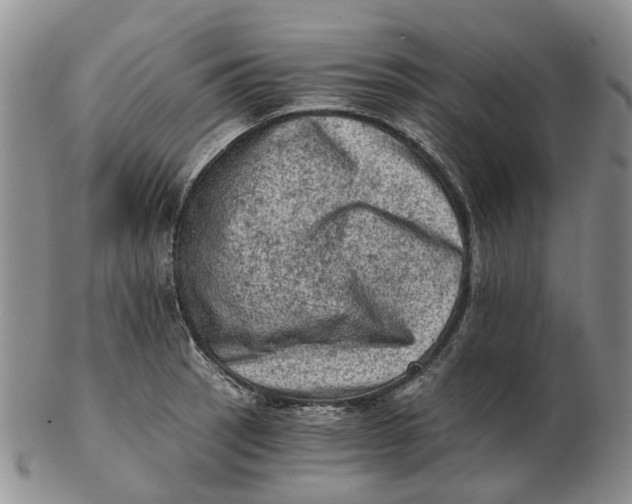 X0000103161137200809121832