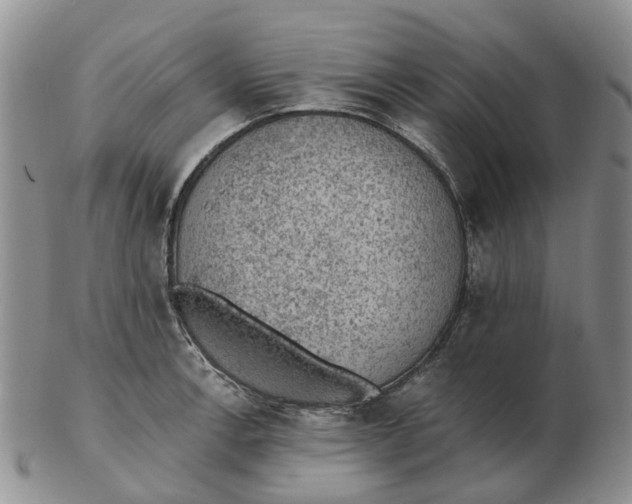 X0000103161138200809121832