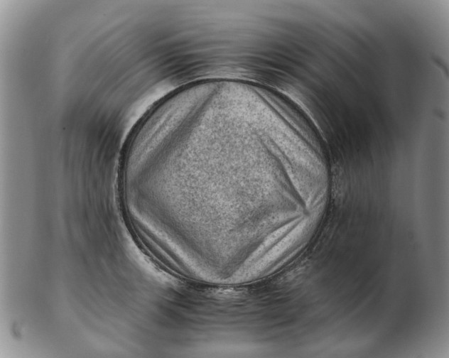 X0000103161139200809121832