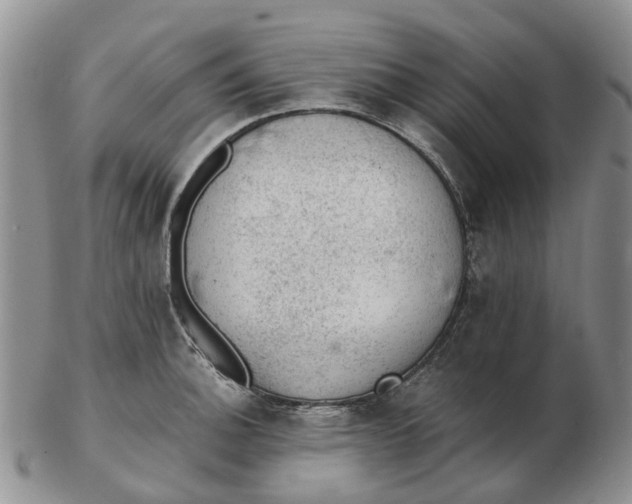 X0000103161140200809121832