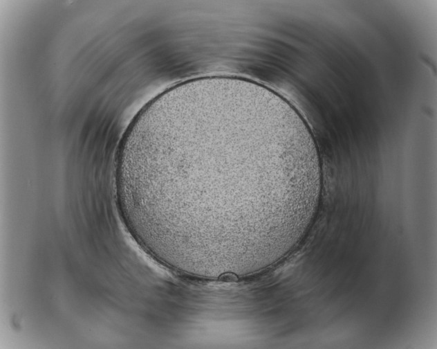 X0000103161142200809121832