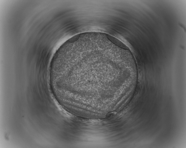 X0000103161144200809121832