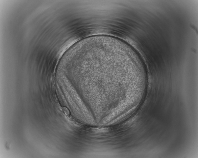 X0000103161145200809121832