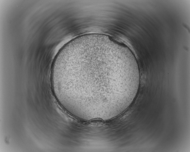 X0000103161146200809121832