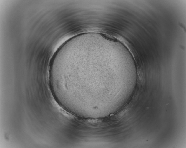 X0000103161147200809121832