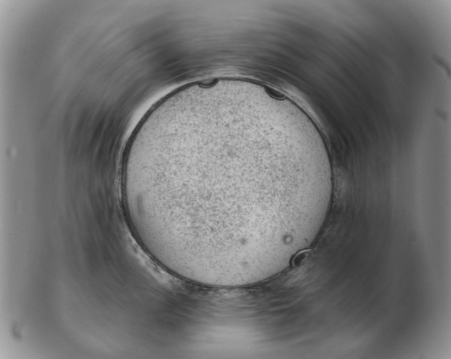 X0000103161148200809121832