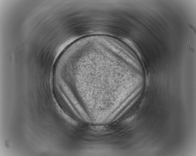 X0000103161149200809121832