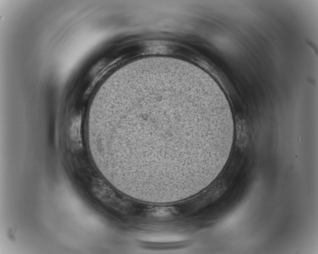 X0000103161150200809121832