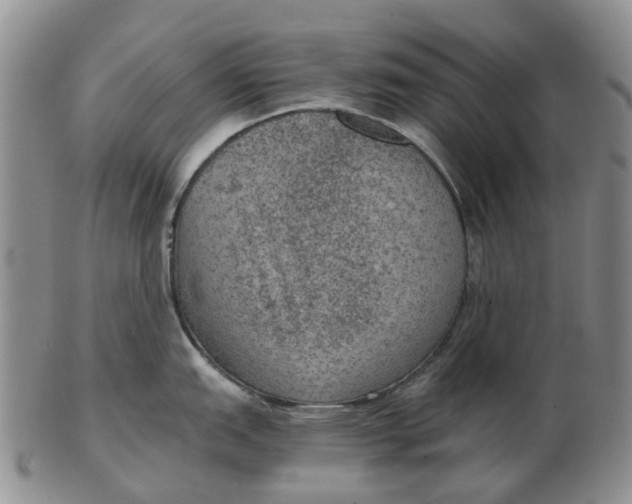 X0000103161151200809121832