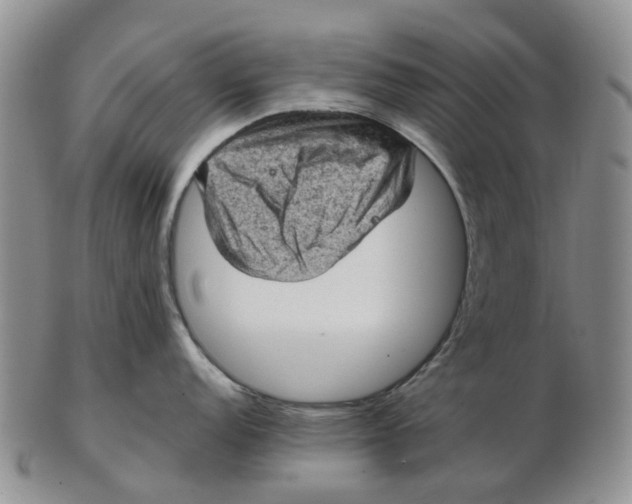 X0000103161152200809121832