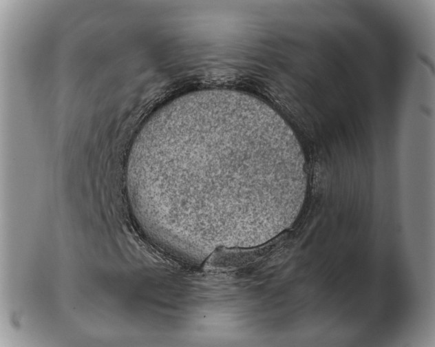 X0000103161153200809121832