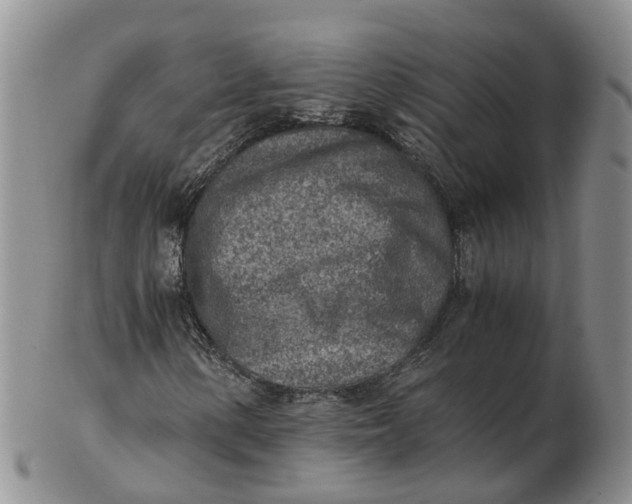 X0000103161154200809121832