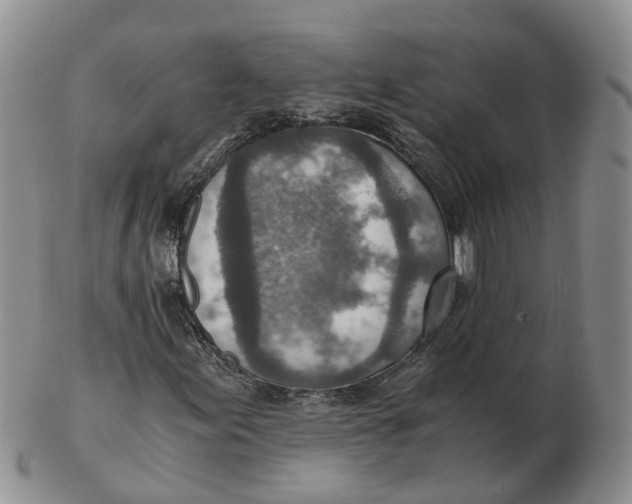 X0000103161155200809121832