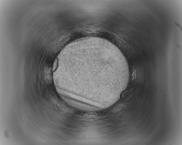 X0000103161156200809121832