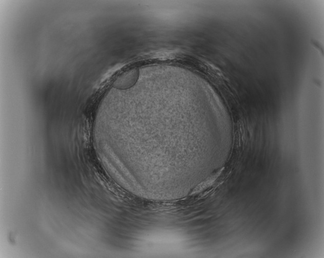 X0000103161158200809121832