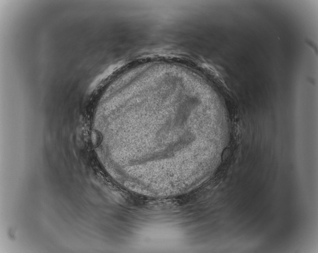 X0000103161159200809121832