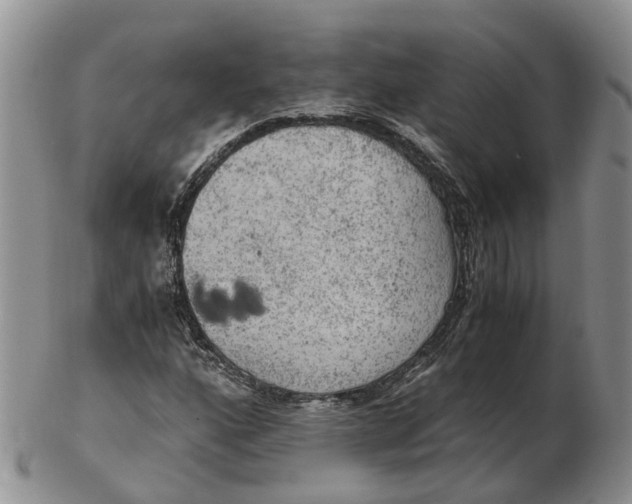 X0000103161160200809121832