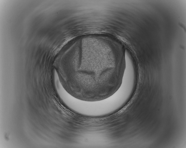 X0000103161161200809121832