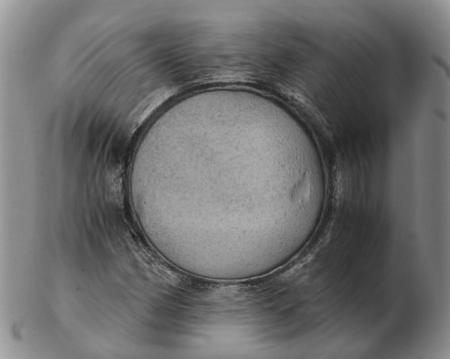 X0000103161162200809121832