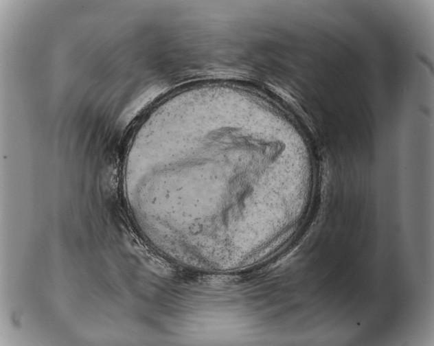 X0000103161163200809121832