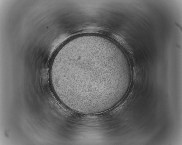 X0000103161164200809121832