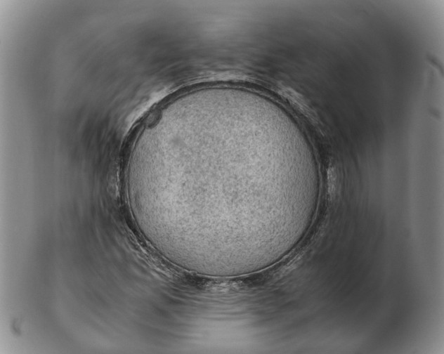 X0000103161165200809121832