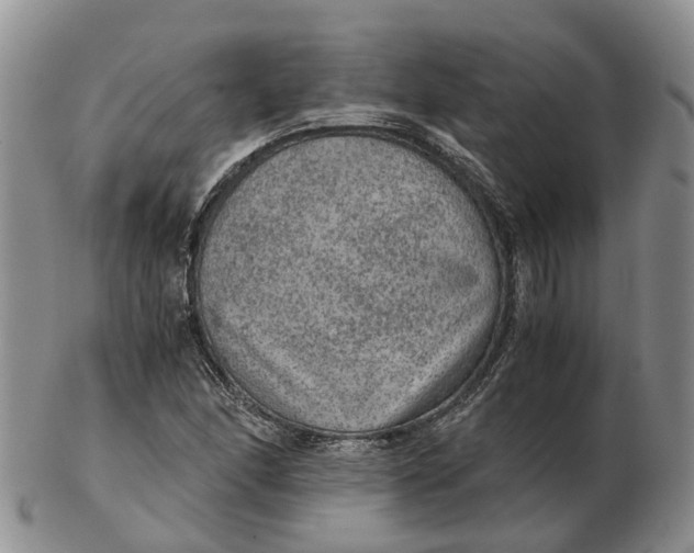 X0000103161166200809121831