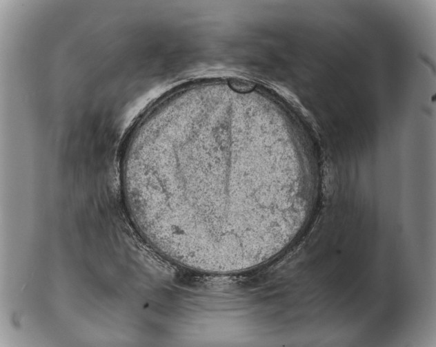 X0000103161167200809121831