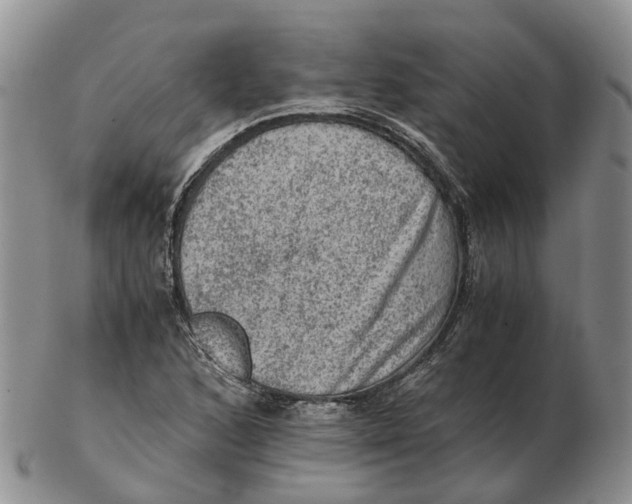 X0000103161168200809121831