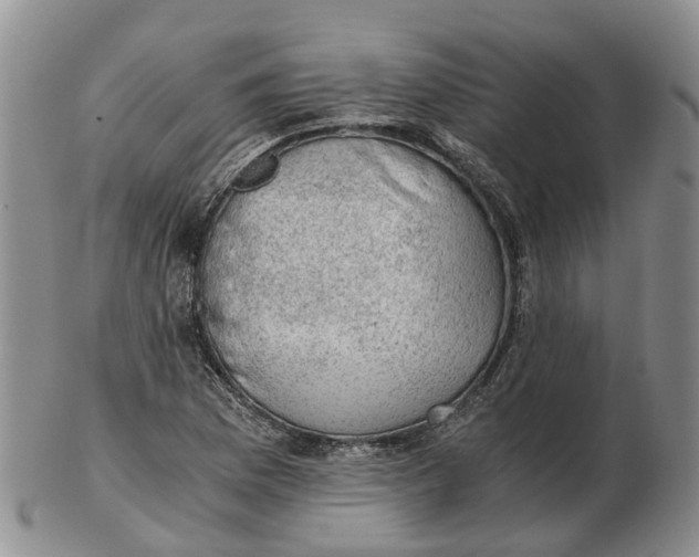 X0000103161169200809121831