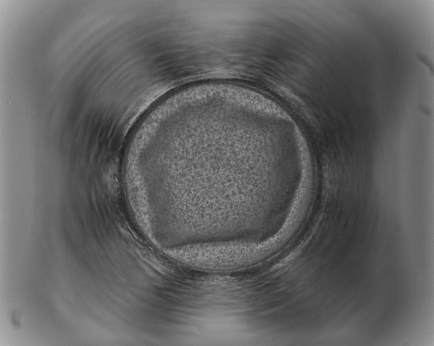 X0000103161170200809121831