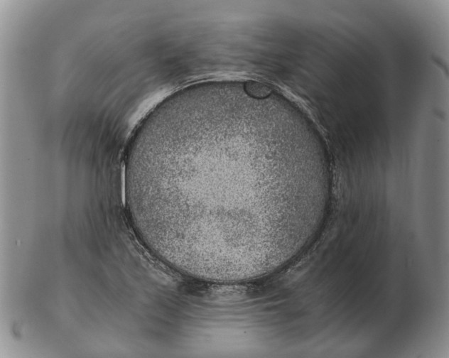 X0000103161171200809121831