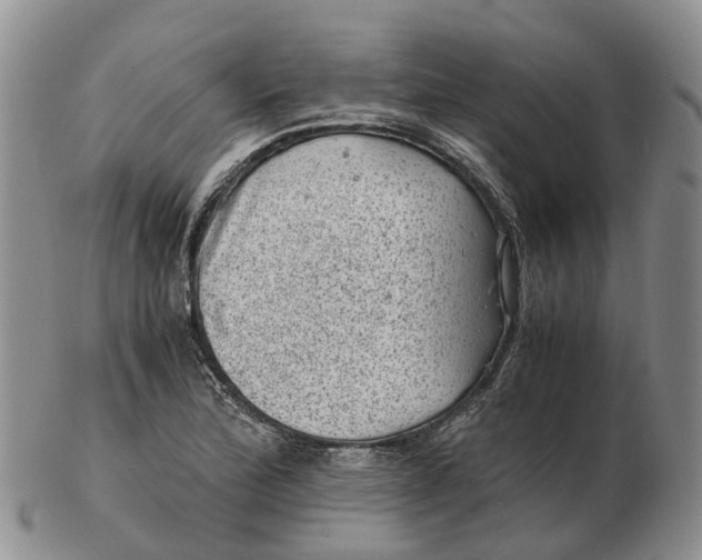 X0000103161172200809121831