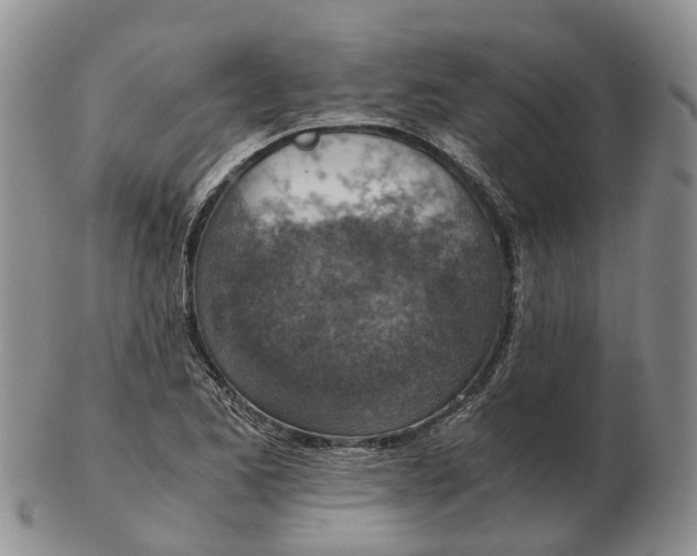 X0000103161173200809121831