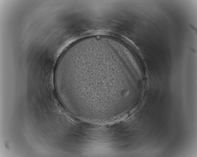 X0000103161174200809121831