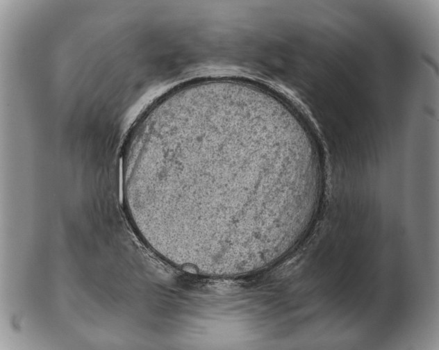 X0000103161175200809121831