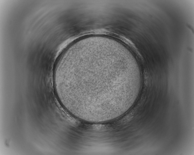 X0000103161176200809121831