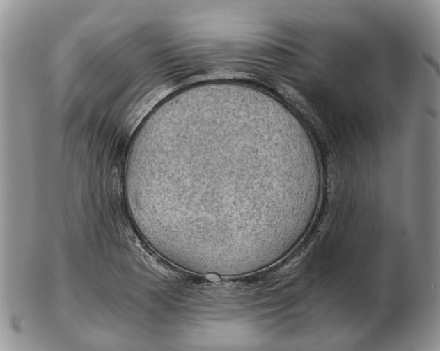 X0000103161177200809121831