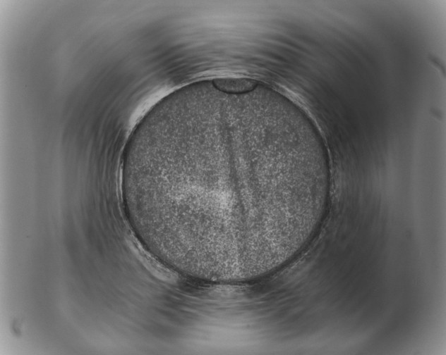 X0000103161179200809121831