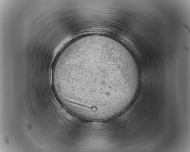 X0000103161180200809121831