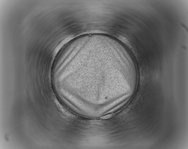 X0000103161181200809121831