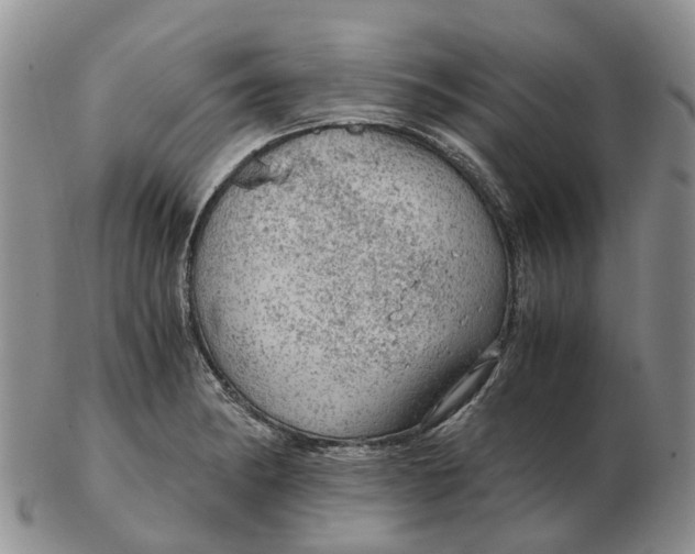 X0000103161182200809121831