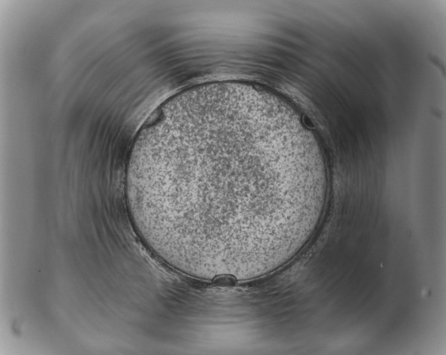 X0000103161185200809121831