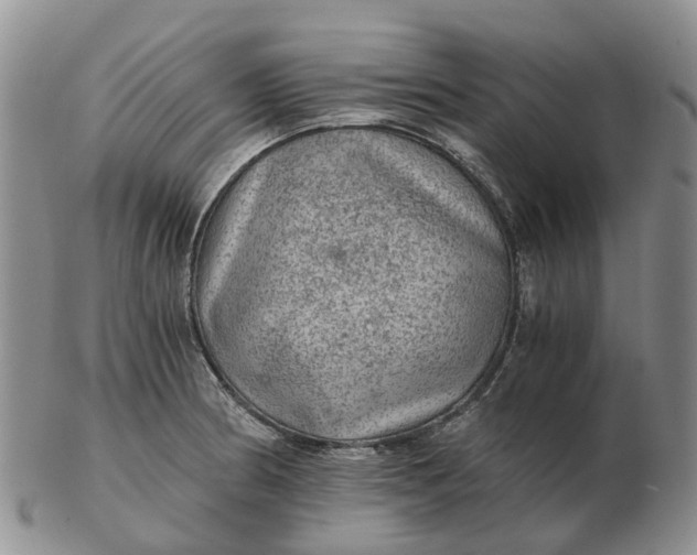 X0000103161186200809121831