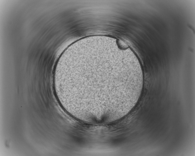 X0000103161187200809121831