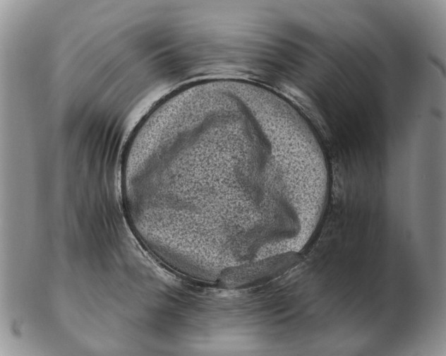 X0000103161188200809121831