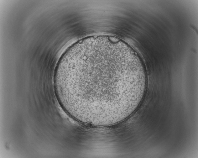 X0000103161189200809121831