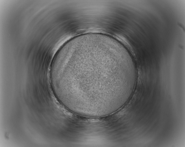 X0000103161190200809121831